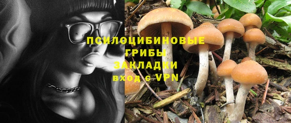 mdma Белокуриха