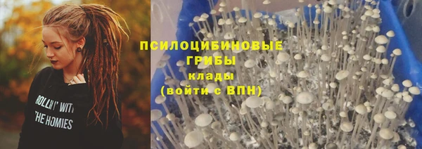молекула духа Беломорск