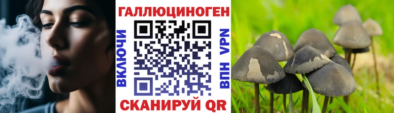 Псилоцибиновые грибы Psilocybe  Малмыж 