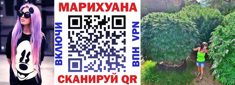 OMG tor  Малмыж  Канабис OG Kush 